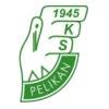 帕利坎